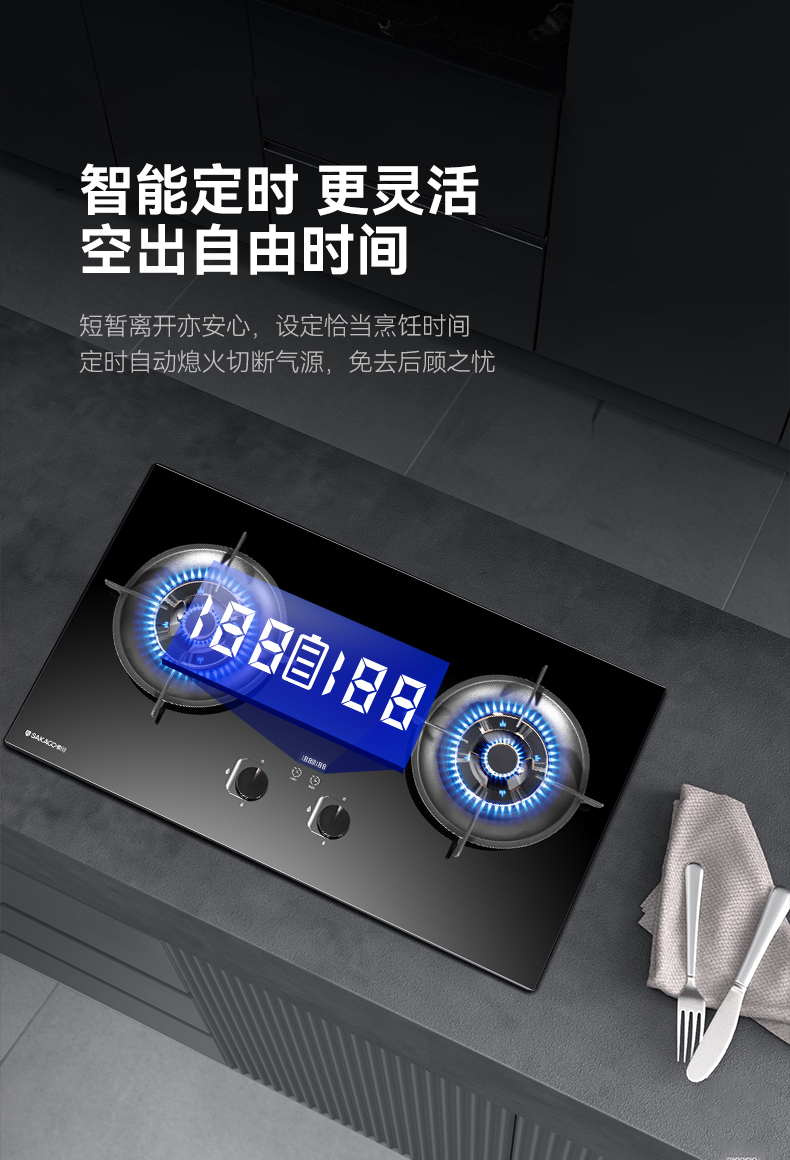 燃?xì)庠頡Z04